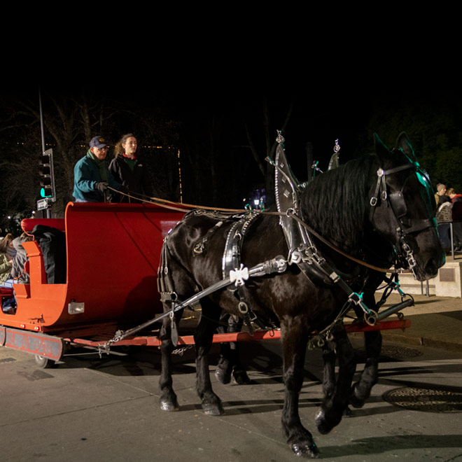 Gold Leaf Sleigh Rides taking First Night attendees on a sleigh ride